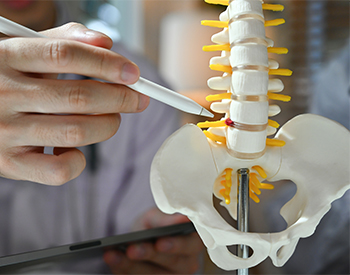 Herniated Disc Vienna