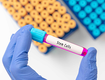 Stem Cells Vienna